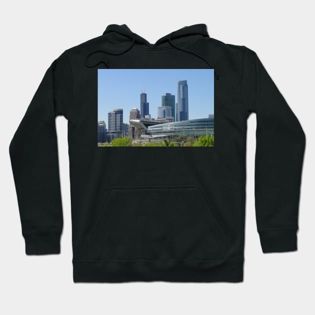 Soldier Field On The Edge Hoodie by AH64D